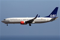Alfonso Sols - Asociacin Canary Islands Spotting. Click to see full size photo