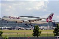 Miguel A. gueda Rguez.  (CANARY ISLANDS SPOTTING). Click to see full size photo