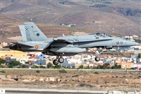 ©Adolfo Bento - Gran Canaria Spotters. Click to see full size photo ©Adolfo Bento - Gran Canaria Spotters. Click to see full size photo