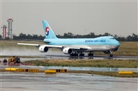 Javier de la Cruz - CANARY ISLANDS SPOTTING. Click to see full size photo