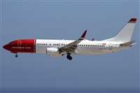 ©Alfonso Solís - Asociación Canary Islands Spotting. Click to see full size photo ©Alfonso Solís - Asociación Canary Islands Spotting. Click to see full size photo