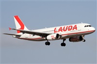 Alfonso Sols - Asociacin Canary Islands Spotting. Click to see full size photo