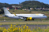 Miguel A. gueda Rguez.  (CANARY ISLANDS SPOTTING). Click to see full size photo