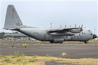 ©Daniel Santos Batista - Canary Islands Spotting. Click to see full size photo ©Daniel Santos Batista - Canary Islands Spotting. Click to see full size photo