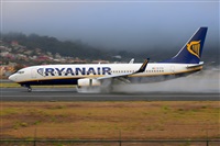 Miguel A. gueda Rguez.  (CANARY ISLANDS SPOTTING). Haz click para ampliar