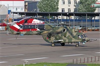 ©Maksimov Maxim - RuSpotters Team. Click to see full size photo ©Maksimov Maxim - RuSpotters Team. Click to see full size photo