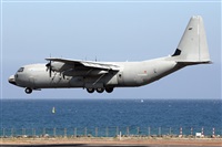 Adrin Alonso Lemes - Lanzarote Spotters. Click to see full size photo