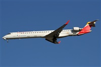 Alfonso Sols - Asociacin Canary Islands Spotting. Haz click para ampliar