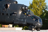 Tams. Click to see full size photo