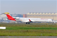 Miguel A. gueda Rguez.  (CANARY ISLANDS SPOTTING). Click to see full size photo