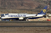 Alfonso Sols - Asociacin Canary Islands Spotting. Haz click para ampliar