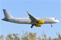 Miguel A. gueda Rguez.  (CANARY ISLANDS SPOTTING). Click to see full size photo