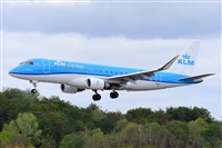 Miguel A. gueda Rguez.  (CANARY ISLANDS SPOTTING). Click to see full size photo