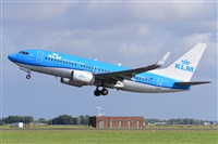 Miguel A. gueda Rguez.  (CANARY ISLANDS SPOTTING). Click to see full size photo
