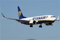 Alfonso Sols - Asociacin Canary Islands Spotting. Haz click para ampliar