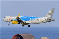 Miguel A. gueda Rguez.  (CANARY ISLANDS SPOTTING). Click to see full size photo