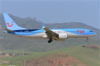 Miguel A. gueda Rguez.  (CANARY ISLANDS SPOTTING). Haz click para ampliar