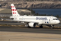 ©Adolfo Bento - Gran Canaria Spotters. Click to see full size photo ©Adolfo Bento - Gran Canaria Spotters. Click to see full size photo