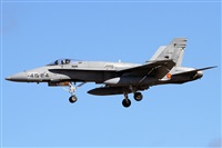 Alfonso Sols - Asociacin Canary Islands Spotting. Click to see full size photo