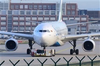 Miguel A. gueda Rguez.  (CANARY ISLANDS SPOTTING). Click to see full size photo