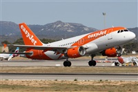 ©Alfonso Solís - Asociación Canary Islands Spotting. Click to see full size photo ©Alfonso Solís - Asociación Canary Islands Spotting. Click to see full size photo