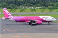 Miguel A. gueda Rguez.  (CANARY ISLANDS SPOTTING). Click to see full size photo