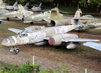 Daniel Ferro. Click to see full size photo