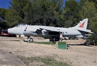 ©Javier Rodríguez. Click to see full size photo ©Javier Rodríguez. Click to see full size photo