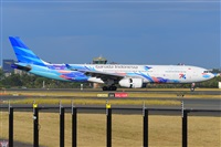 �Miguel A. �gueda Rguez.  (CANARY ISLANDS SPOTTING). Click to see full size photo