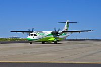 Javier de la Cruz - CANARY ISLANDS SPOTTING. Click to see full size photo