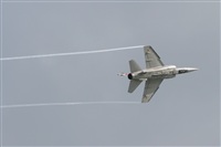Miguel A. Snchez. Click to see full size photo
