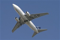Jos Miguel Bernases - Noisy Spotters. Click to see full size photo