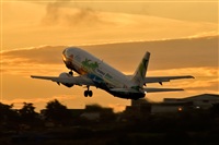 Javier de la Cruz - CANARY ISLANDS SPOTTING. Haz click para ampliar