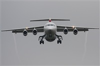 Rodrigo Carvalho - Noisy Spotters. Click to see full size photo