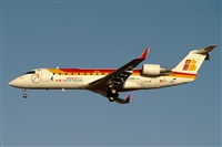 JF Alemn-GranCanariaSpotters. Click to see full size photo