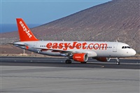 Miguel A. gueda Rguez.  (CANARY ISLANDS SPOTTING). Click to see full size photo