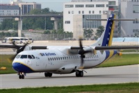 Rodrigo Carvalho - Noisy Spotters. Click to see full size photo