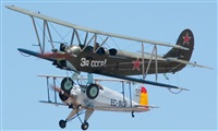 Jos Luis Celada Euba. Click to see full size photo