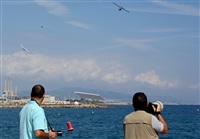 Manuel  LLama  -  Costa Del Sol Spotting Aviation. Click to see full size photo