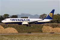 Rodrigo Carvalho - Noisy Spotters. Click to see full size photo
