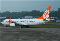 Frederico Cavalcante - Manaus Spotting Team. Click to see full size photo