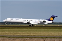 Javier de la Cruz - CANARY ISLANDS SPOTTING. Click to see full size photo