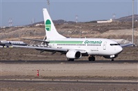 ©Alfonso Solís - Asociación Canary Islands Spotting. Click to see full size photo ©Alfonso Solís - Asociación Canary Islands Spotting. Click to see full size photo