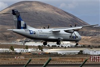 Adrin Alonso Lemes - Lanzarote Spotters. Haz click para ampliar