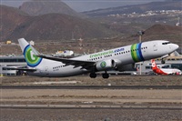 ©Alfonso Solís - Asociación Canary Islands Spotting. Click to see full size photo ©Alfonso Solís - Asociación Canary Islands Spotting. Click to see full size photo