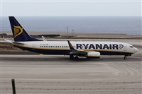 ©Alfonso Solís - Asociación Canary Islands Spotting. Click to see full size photo ©Alfonso Solís - Asociación Canary Islands Spotting. Click to see full size photo