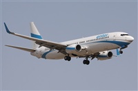 ©Alfonso Solís - Asociación Canary Islands Spotting. Click to see full size photo ©Alfonso Solís - Asociación Canary Islands Spotting. Click to see full size photo