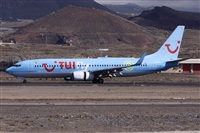 ©Alfonso Solís - Asociación Canary Islands Spotting. Click to see full size photo ©Alfonso Solís - Asociación Canary Islands Spotting. Click to see full size photo