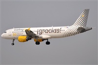 ©Rubén Gil - Noisy Spotters. Click to see full size photo ©Rubén Gil - Noisy Spotters. Click to see full size photo