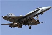 J. Victor Vega-Gran Canaria Spotters. Click to see full size photo